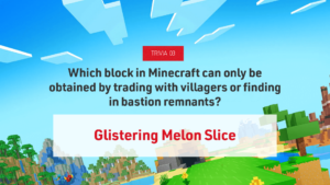 25-03-Slides-QR-Services-11